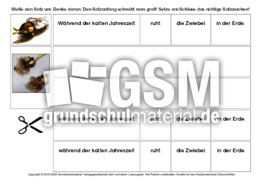 Tulpe-Sätze-umstellen-4-B.pdf